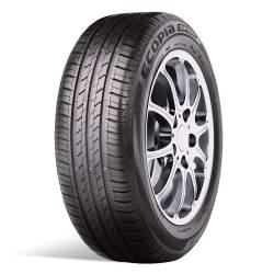 BRIDGESTONE ECOPIA EP150 Sommard�ck